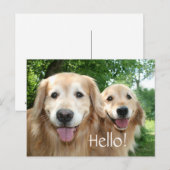 Twee Happy Golden Retriever Honden buiten Briefkaart (Voorkant / Achterkant)
