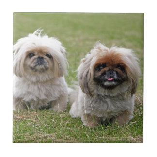 Twee Happy Little Puppies Tegeltje