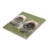 Twee Happy Little Puppies Tegeltje (Zijkant)