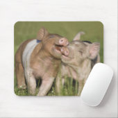 Twee Happy Piglets Muismat (Met muis)
