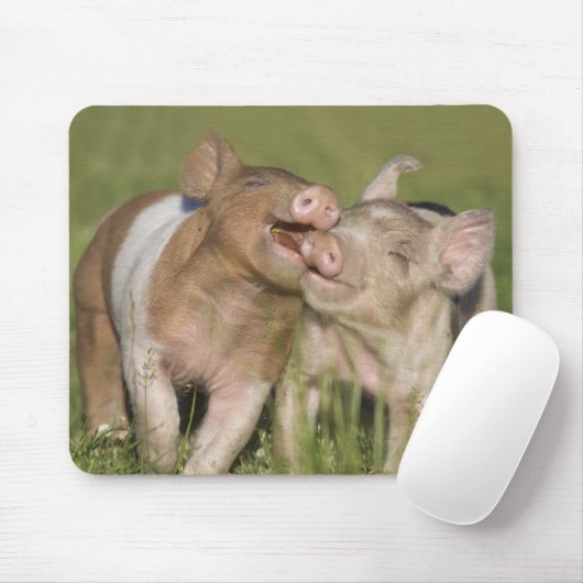Twee Happy Piglets Muismat (Met muis)