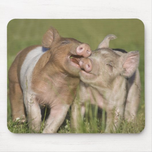 Twee Happy Piglets Muismat (Voorkant)