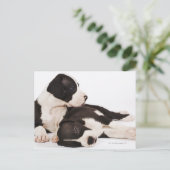 Twee Harlekijn Grote Deen Puppies Briefkaart (Staand voorkant)