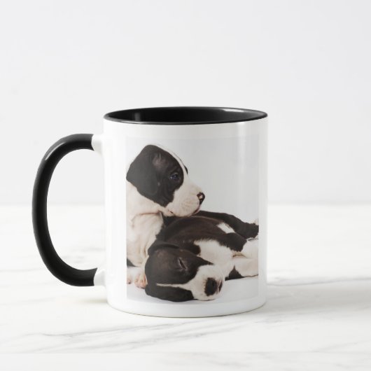 Twee Harlequin Great Dane Puppies Mok (Links)