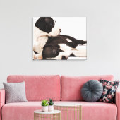 Twee Harlequin Great Dane-puppies op wit Canvas Afdruk (Insitu (Woonkamer))