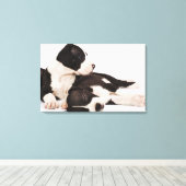 Twee Harlequin Great Dane-puppies op wit Canvas Afdruk (Insitu (Houten vloer))