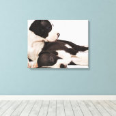 Twee Harlequin Great Dane-puppies op wit Canvas Afdruk (Insitu (Houten vloer))