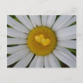 Twee harten op marguerite briefkaart (Voorkant)