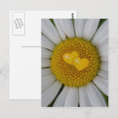 Twee harten op marguerite briefkaart (Voorkant / Achterkant)