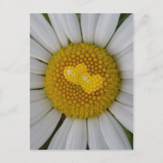 Twee harten op marguerite briefkaart