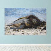 Twee Hawaïaanse Groene Zeeen Schildpadden knuffele Canvas Afdruk (Insitu (Houten vloer))