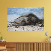 Twee Hawaïaanse Groene Zeeen Schildpadden knuffele Canvas Afdruk (Insitu (Woonkamer))