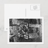 Twee Hawaiiaanse vrouwen met Ukalalees foto Briefkaart (Voorkant / Achterkant)