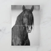 Twee hengst vrienden - Wenskaarten Bedankkaart (Binnen)