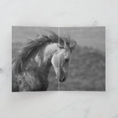 Twee hengsten Wild Horse Wenskaart Kaart (Binnen)