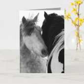 Twee hengsten Wild Horse Wenskaart Kaart (Gele Bloem)