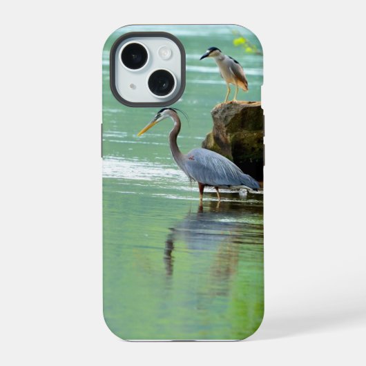 Twee Herons in de rivier iPhone 15 Case (Achterkant)
