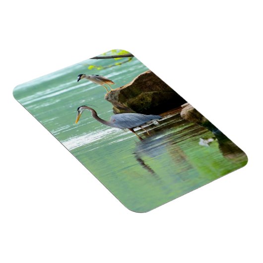 Twee Herons in de rivier Magneet (Rechterzijde)