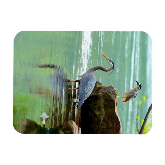 Twee Herons in de rivier Magneet (Horizontaal)