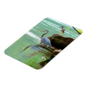 Twee Herons in de rivier Magneet (Linkerzijde)