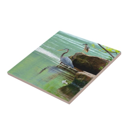 Twee Herons in de rivier Tegeltje (Zijkant)