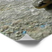 Twee hete slangen poster (Hoek)