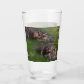 Twee Hippos in een Drink glas (Voorkant)