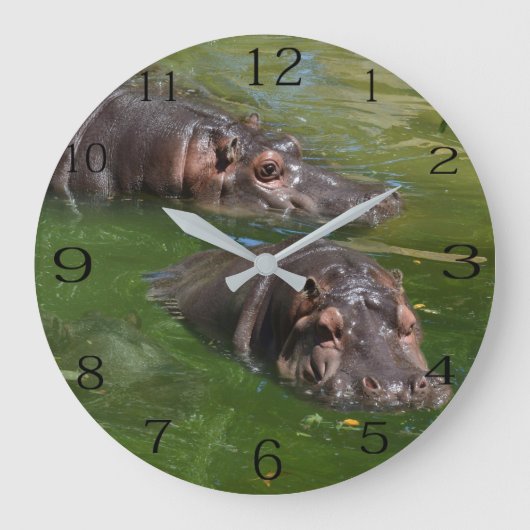 Twee Hippos zwemmen in een hond, wandklok (Voorkant)