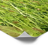 Twee hoerspots in Opper-Oostenrijk Poster (Hoek)