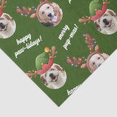 Twee Hond Foto Rendier Vrolijk Kerstgroen Tissuepapier (Detail)