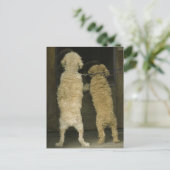 Twee honden die in een deurraam kijken, achteraan  briefkaart (Staand voorkant)
