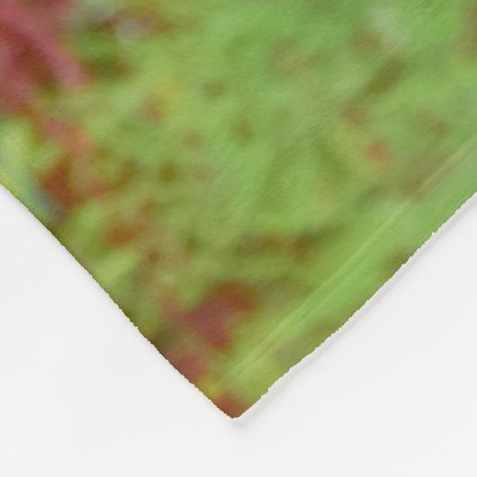 Twee honden een pug puppy en Boston Terrier in een Fleece Deken (Hoek)