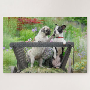 Twee honden een pug puppy en Boston Terrier in een Legpuzzel
