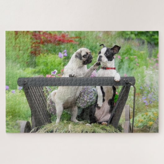 Twee honden een pug puppy en Boston Terrier in een Legpuzzel (Horizontaal)