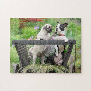 Twee honden een pug puppy en Boston Terrier in een Legpuzzel
