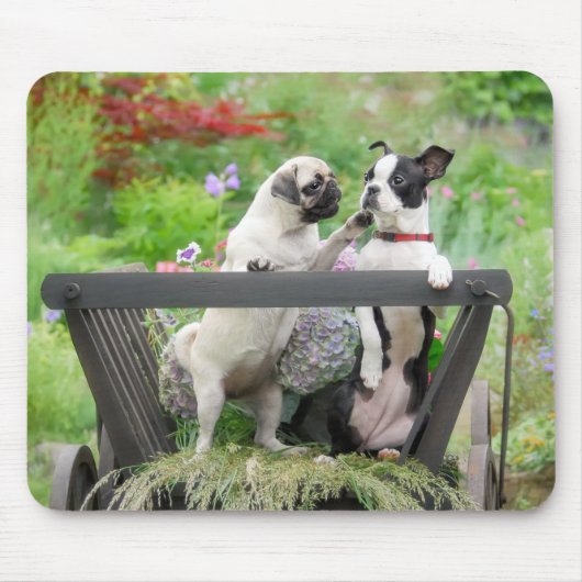 Twee honden een pug puppy en Boston Terrier in een Muismat (Voorkant)