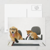Twee honden met een stropdas en een bril, zittend  briefkaart (Voorkant / Achterkant)
