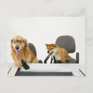 Twee honden met een stropdas en een bril, zittend briefkaart