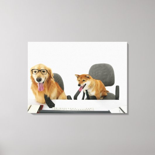 Twee honden met een stropdas en een bril, zittend canvas afdruk (Voorkant)
