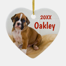 Twee honden met tweekleurige kersthondenversiering keramisch ornament