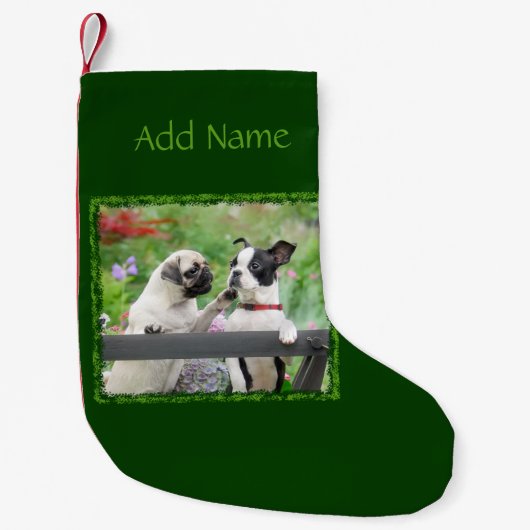 Twee honden samen een pug puppy en Boston Terrier  Kleine Kerstsok (Voorkant)