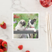 Twee honden samen een pug puppy en Boston Terrier Servet (Insitu)