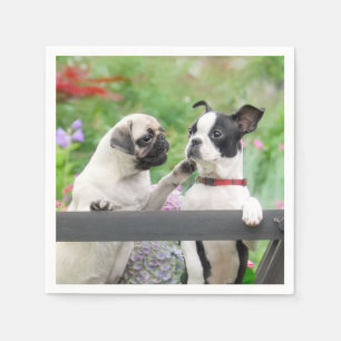 Twee honden samen een pug puppy en Boston Terrier  Servet