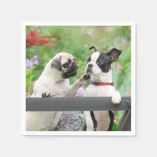 Twee honden samen een pug puppy en Boston Terrier Servet (Voorkant)