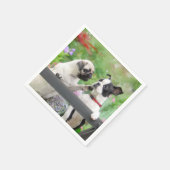 Twee honden samen een pug puppy en Boston Terrier Servet (Hoek)