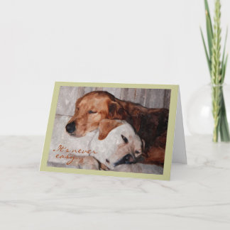 Twee Honden Snuggling, Dierenverlies Sympathie Kaart
