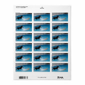 Twee honden springen in een zwembad! etiket (Full Sheet)