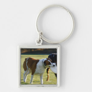 Twee honden vechten over plastic schijf sleutelhanger