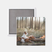 Twee honden zitten bij het vuur in het bos. magneet (Voorkant / Achterkant)