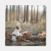 Twee honden zitten bij het vuur in het bos. magneet (Voorkant)